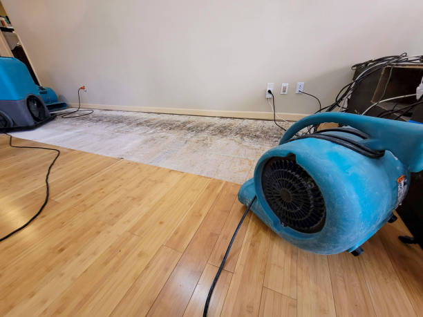 Professional Structural Drying technician working in New Vernon, NJ